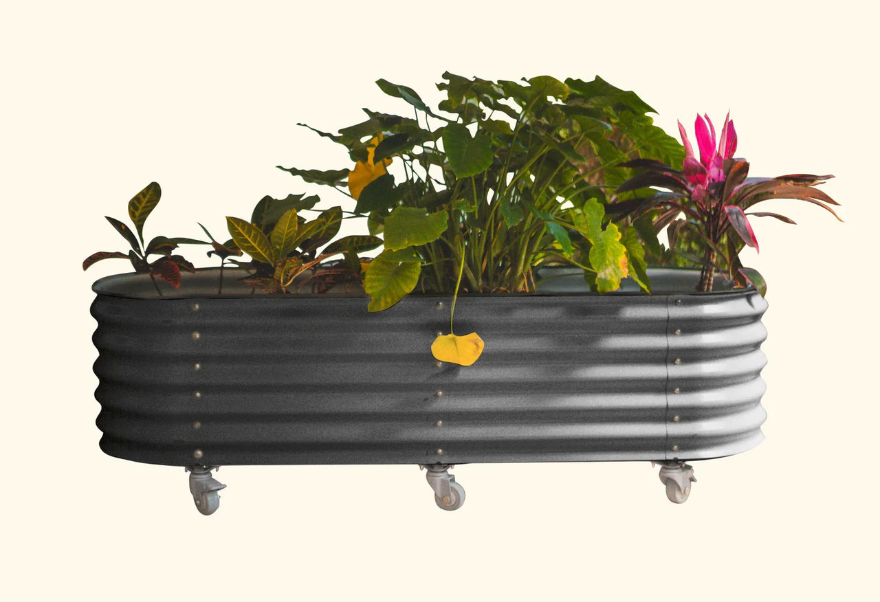Self Watering Rolling Garden Bed