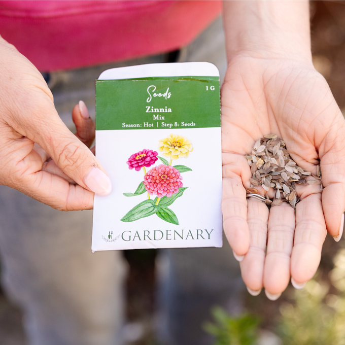 Mixed Zinnia Seeds