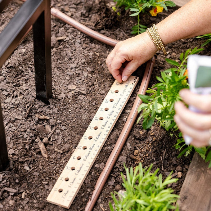 The Salad Garden System