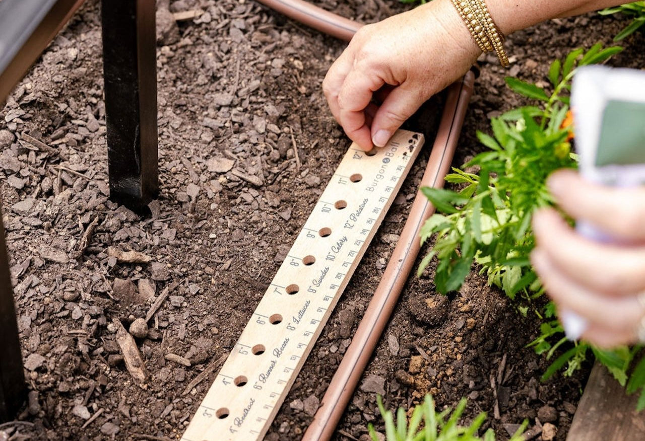 Wooden Planting Ruler