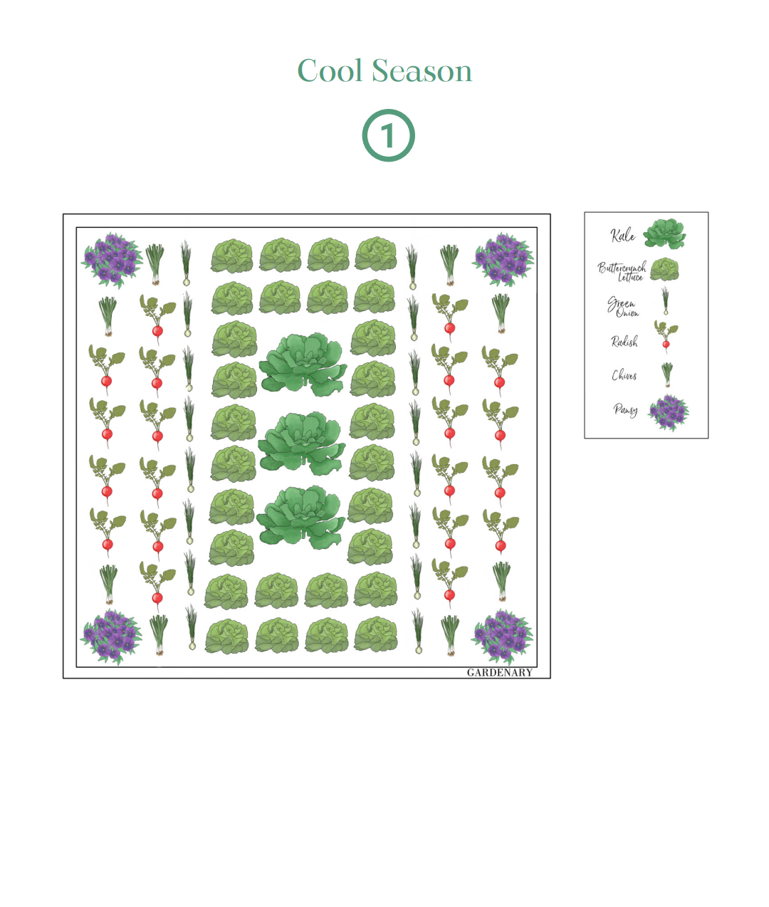 A garden planting chart titled 'Cool Season' with a circular '1' at the top. The chart shows illustrated vegetables and flowers arranged in rows, including lettuce, radishes, spinach, kale, and peas, with a small legend on the right.