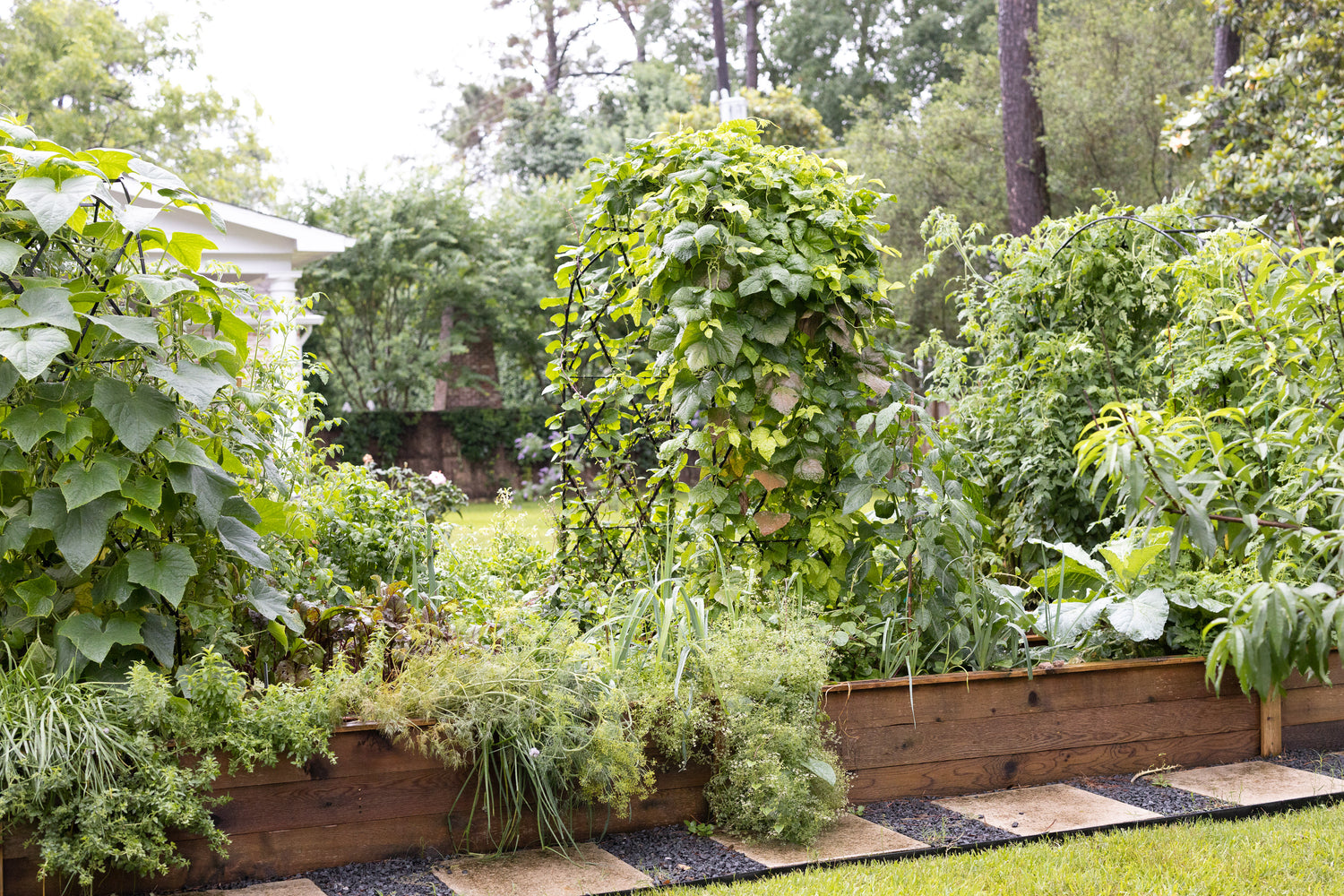 Traditional Diamond Rounded Arch Trellis