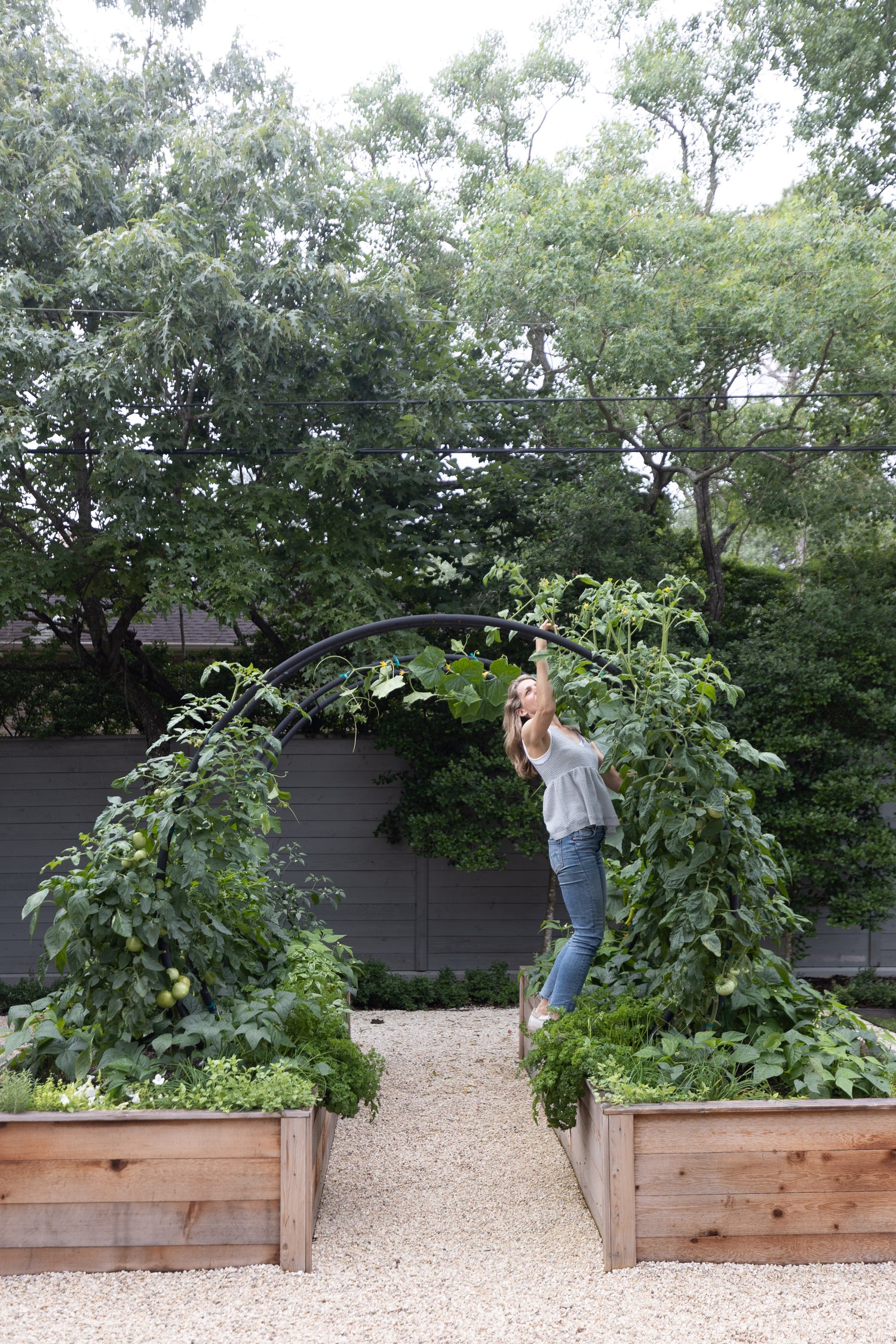 Modern Arch Trellis