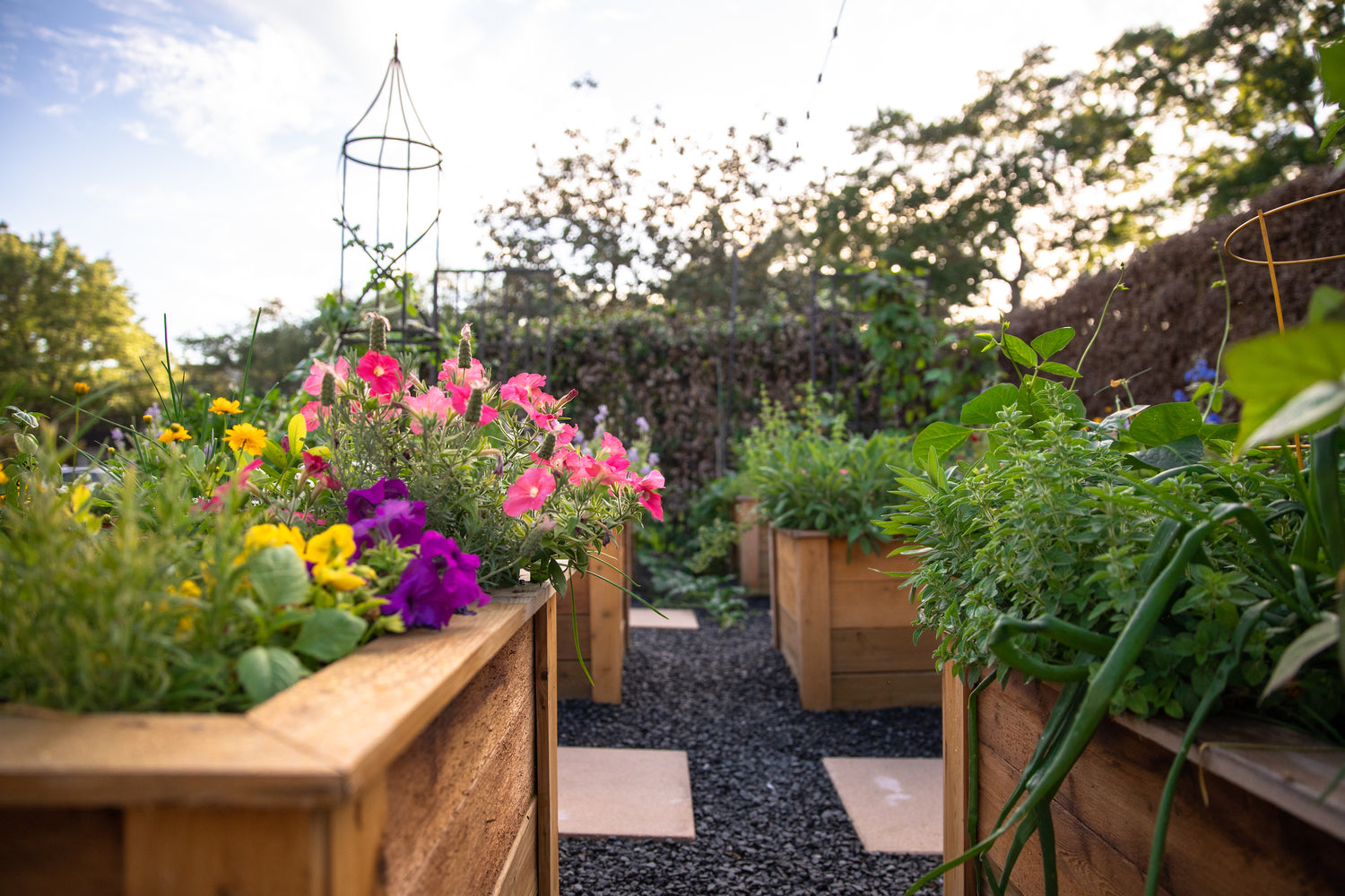 Border Tuteur Trellis