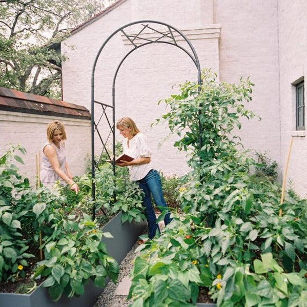 Lattice Arch Trellis