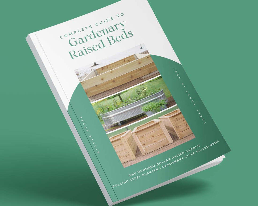 Complete Guide to Gardenary Raised Beds