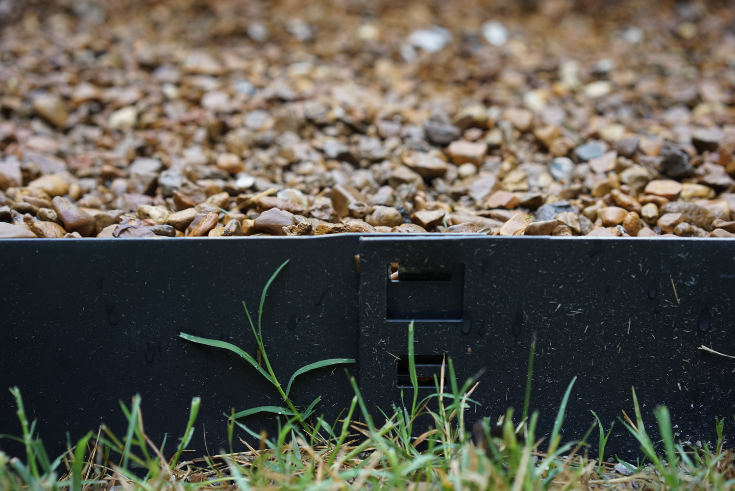 Steel Edging for Kitchen Gardens