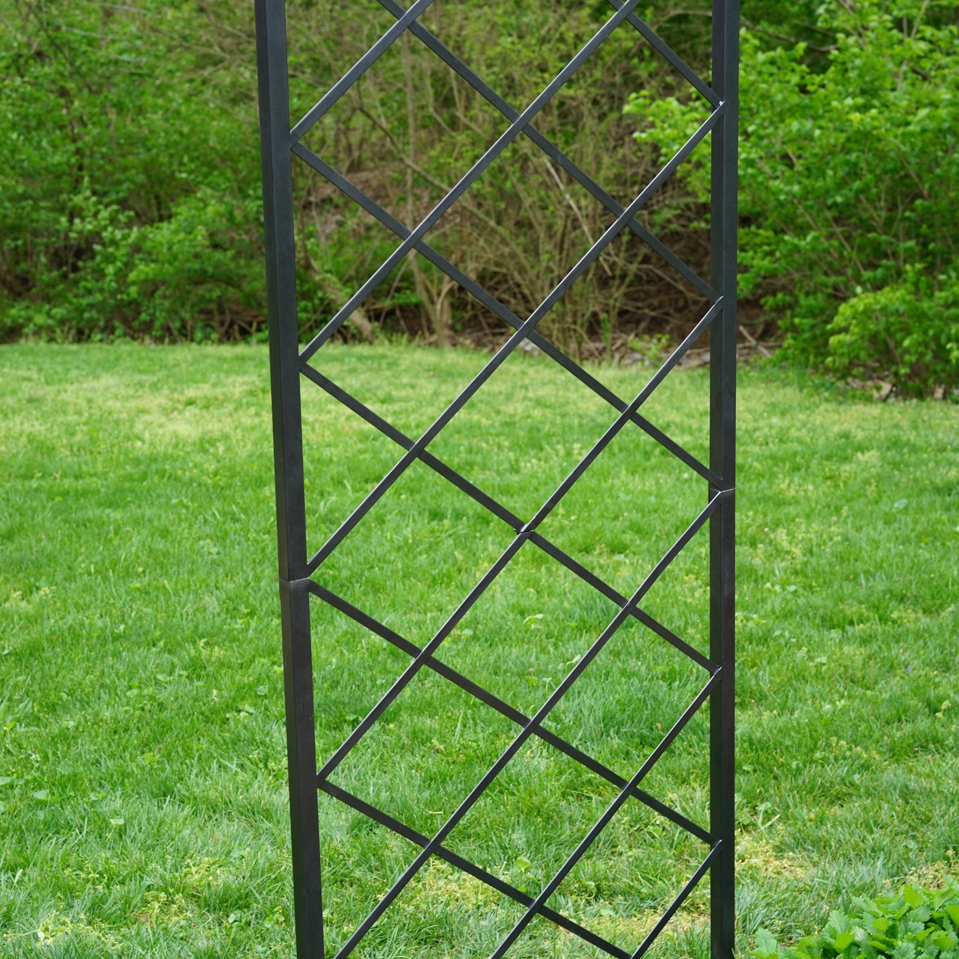 Diamond Panel Trellis