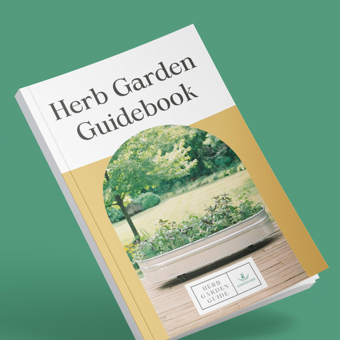 The Herb Garden Guidebook Ebook