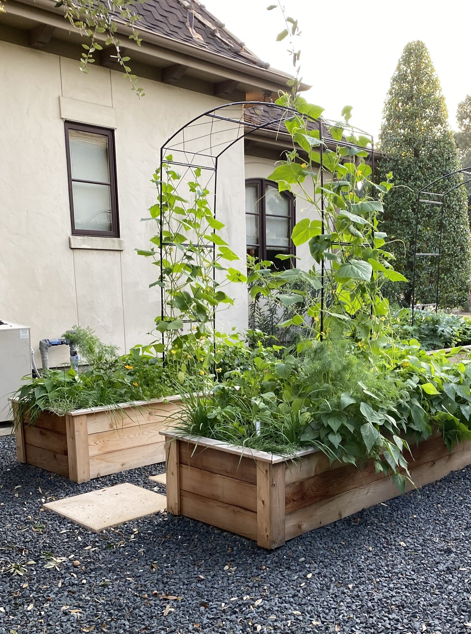 Paris Arch Trellis