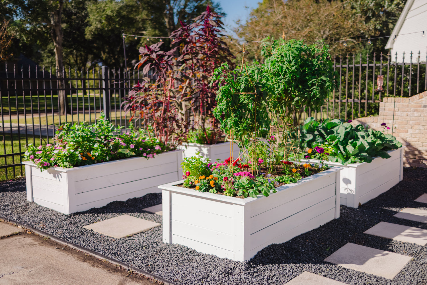 Border Tuteur Trellis
