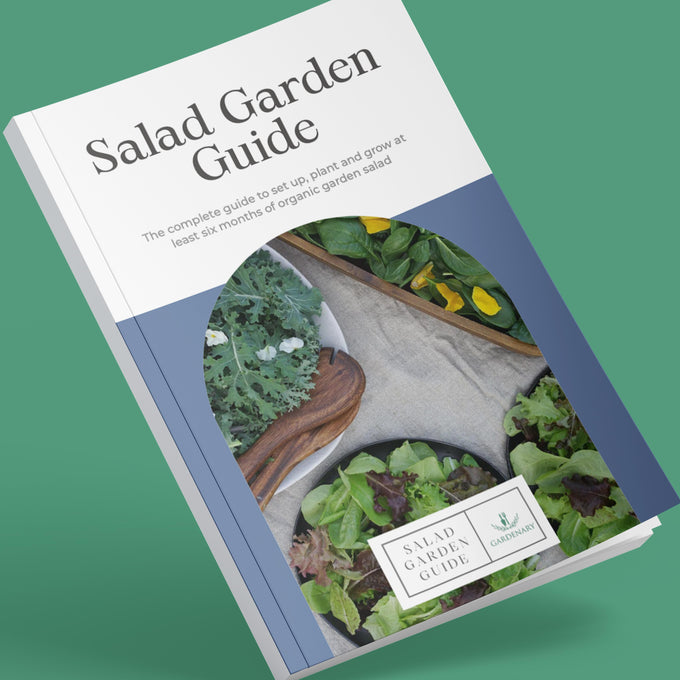 Salad Garden Guide Ebook