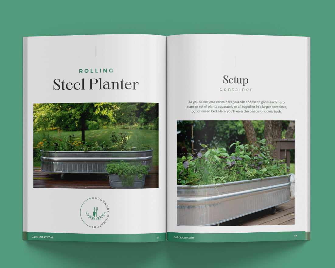 Complete Guide to Gardenary Raised Beds Ebook