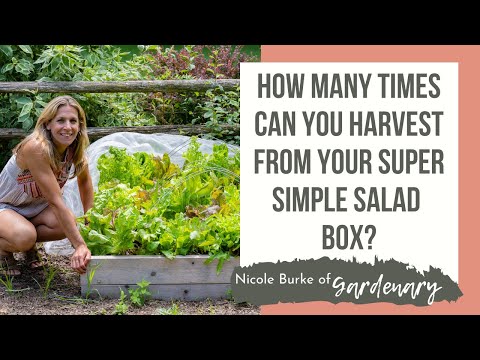 Salad Garden Guide Ebook