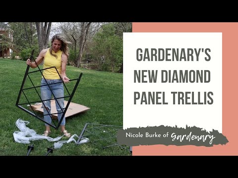 Diamond Panel Trellis