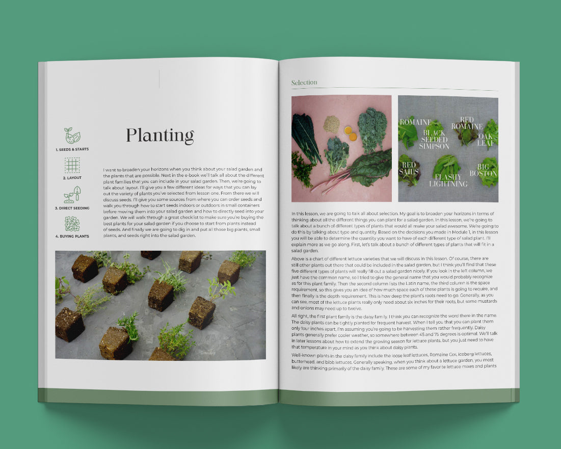 Salad Garden Guide Ebook