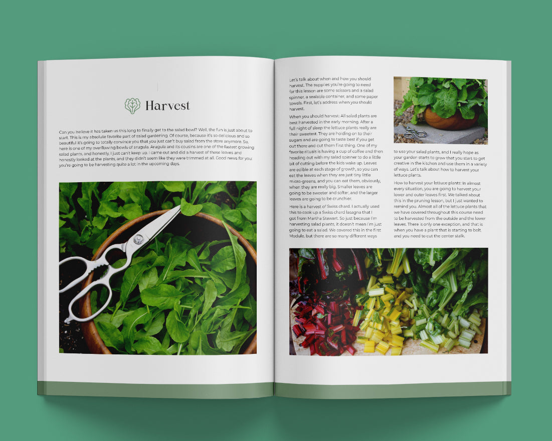 Salad Garden Guide Ebook